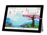 盐山Surface 无法开启、Windows 无法启动或电池无法充电